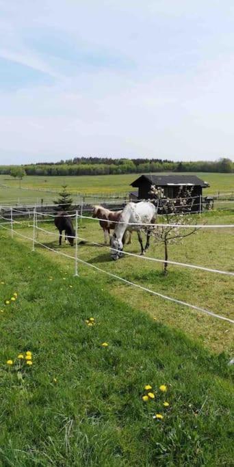Fewomonciao2019-Panorama 2Pers Bis Max4Pers Monschau Exterior foto